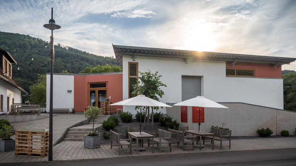 Апартаменты Weingut Peifer Трабен-Трарбах Экстерьер фото